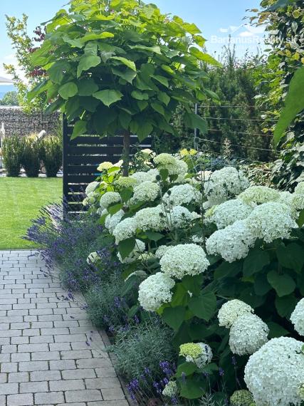 Na predaj novostavba rozmerného rodinného domu v Trenčianskej Turnej, časť Hámre.